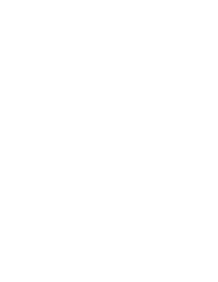 Alternate Text
